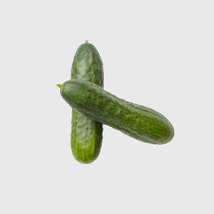 Cucumber