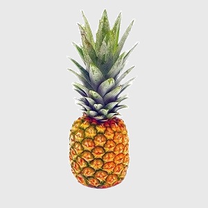 Pineapple Large